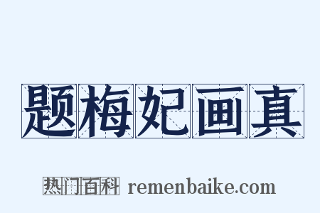 题梅妃画真是什么意思的图片